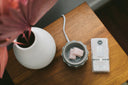 Sweet Grace Scented Wax Melt