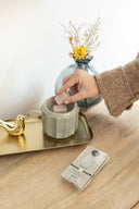 Sweet Grace Scented Wax Melt